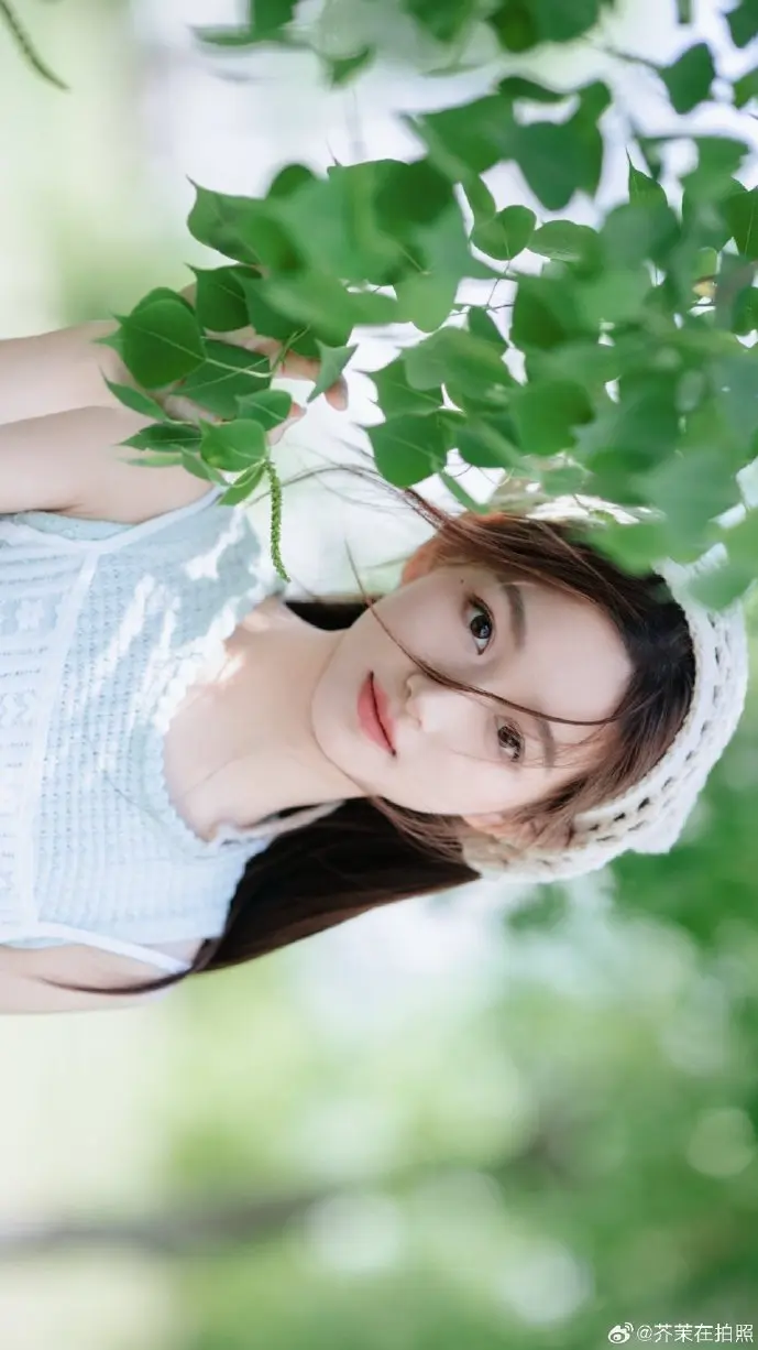 字体版权对比图